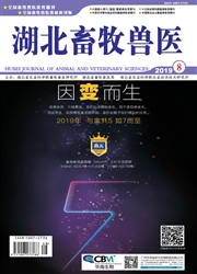 ����������ҽ