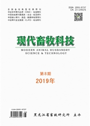 �ִ������Ƽ�