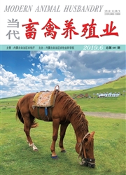 ����������ֳҵ