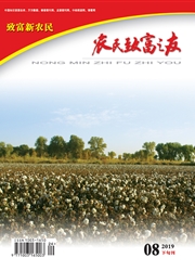 ũ���¸�֮��