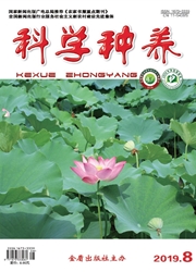 ��ѧ����