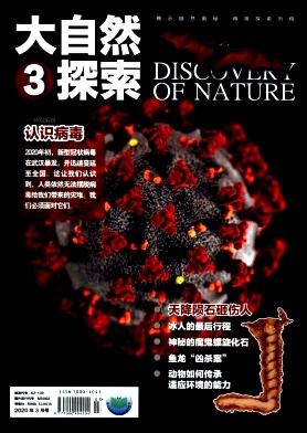 ����Ȼ̽��