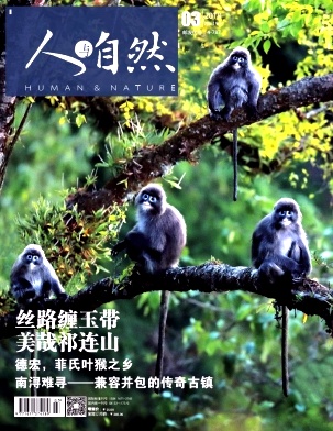 ������Ȼ