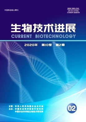 ���＼����չ