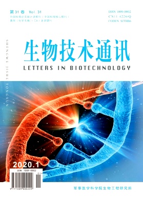 ���＼��ͨѶ