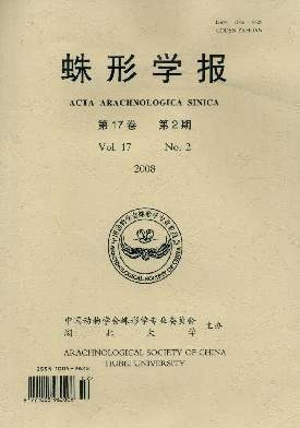 ����ѧ��