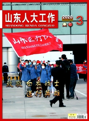 ɽ���˴���