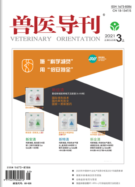 ��ҽ����