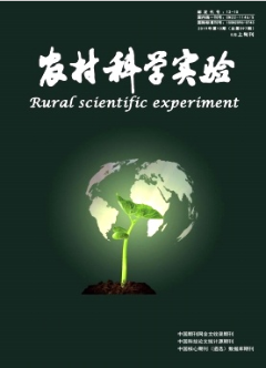 ũ���ѧʵ��