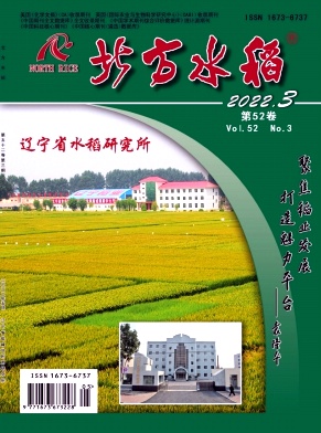 ����ˮ��