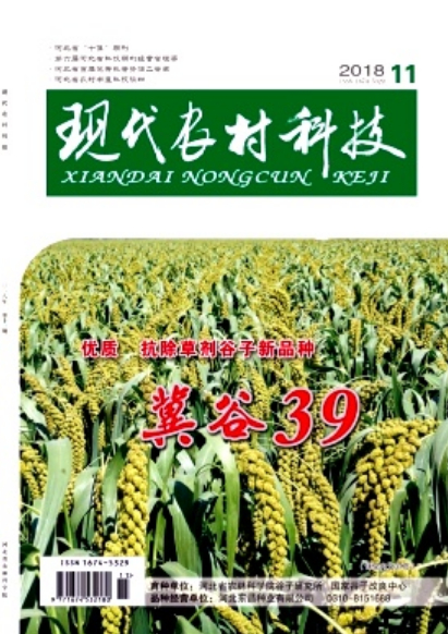 �ִ�ũ��Ƽ�